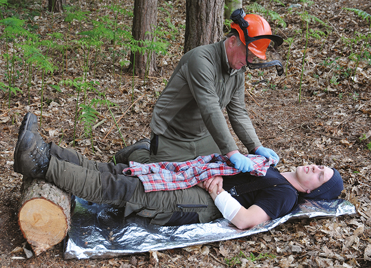 Emergency First Aid at Work for Forestry + (F).